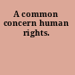 A common concern human rights.