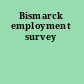 Bismarck employment survey