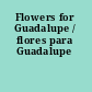 Flowers for Guadalupe / flores para Guadalupe