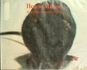 House mouse /