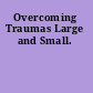 Overcoming Traumas Large and Small.