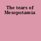 The tears of Mesopotamia