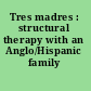 Tres madres : structural therapy with an Anglo/Hispanic family /