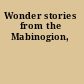Wonder stories from the Mabinogion,