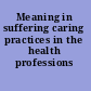 Meaning in suffering caring practices in the health professions /