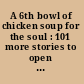 A 6th bowl of chicken soup for the soul : 101 more stories to open the heart and rekindle the spirit /