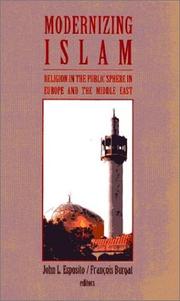Modernizing Islam : religion in the public sphere in the Middle East and Europe /