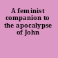 A feminist companion to the apocalypse of John