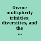 Divine multiplicity trinities, diversities, and the nature of relation /