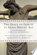 The image of God in an image driven age : explorations in theological anthropology /