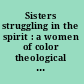 Sisters struggling in the spirit : a women of color theological anthology /