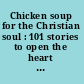 Chicken soup for the Christian soul : 101 stories to open the heart and rekindle the spirit /