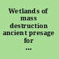 Wetlands of mass destruction ancient presage for contemporary ecocide in southern Iraq /