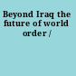 Beyond Iraq the future of world order /