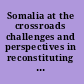Somalia at the crossroads challenges and perspectives in reconstituting a failed state /