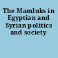 The Mamluks in Egyptian and Syrian politics and society