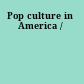 Pop culture in America /