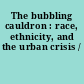 The bubbling cauldron : race, ethnicity, and the urban crisis /