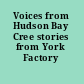 Voices from Hudson Bay Cree stories from York Factory /