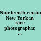 Nineteenth-century New York in rare photographic views /