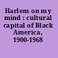 Harlem on my mind : cultural capital of Black America, 1900-1968 /