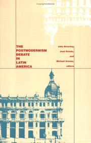 The postmodernism debate in Latin America /