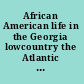 African American life in the Georgia lowcountry the Atlantic world and the Gullah Geechee /