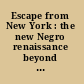 Escape from New York : the new Negro renaissance beyond Harlem /