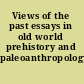 Views of the past essays in old world prehistory and paleoanthropology /