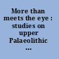 More than meets the eye : studies on upper Palaeolithic diversity in the Near East /