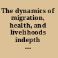 The dynamics of migration, health, and livelihoods indepth network perspectives /
