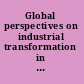Global perspectives on industrial transformation in the American South