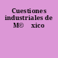 Cuestiones industriales de M©♭xico