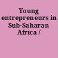 Young entrepreneurs in Sub-Saharan Africa /