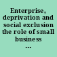 Enterprise, deprivation and social exclusion the role of small business in addressing social and economic inequalities /