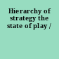 Hierarchy of strategy the state of play /