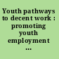 Youth pathways to decent work : promoting youth employment - tackling the challenge /