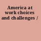 America at work choices and challenges /