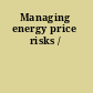 Managing energy price risks /