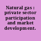 Natural gas : private sector participation and market development.