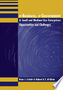 E-business, e-government & small and medium-size enterprises : opportunities and challenges /