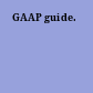 GAAP guide.
