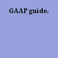 GAAP guide.