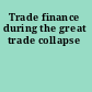 Trade finance during the great trade collapse