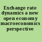 Exchange rate dynamics a new open economy macroeconomics perspective /