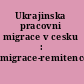 Ukrajinska pracovni migrace v cesku : migrace-remitence-(rozvoj) /