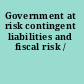 Government at risk contingent liabilities and fiscal risk /