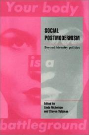 Social postmodernism : beyond identity politics /