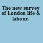The new survey of London life & labour.