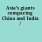 Asia's giants comparing China and India /